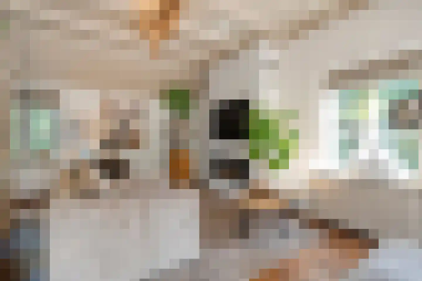 Oldenzaalseweg 11 Tubbergen thumbnail 12