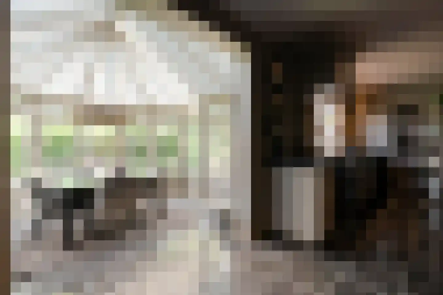 Oldenzaalseweg 11 Tubbergen thumbnail 18