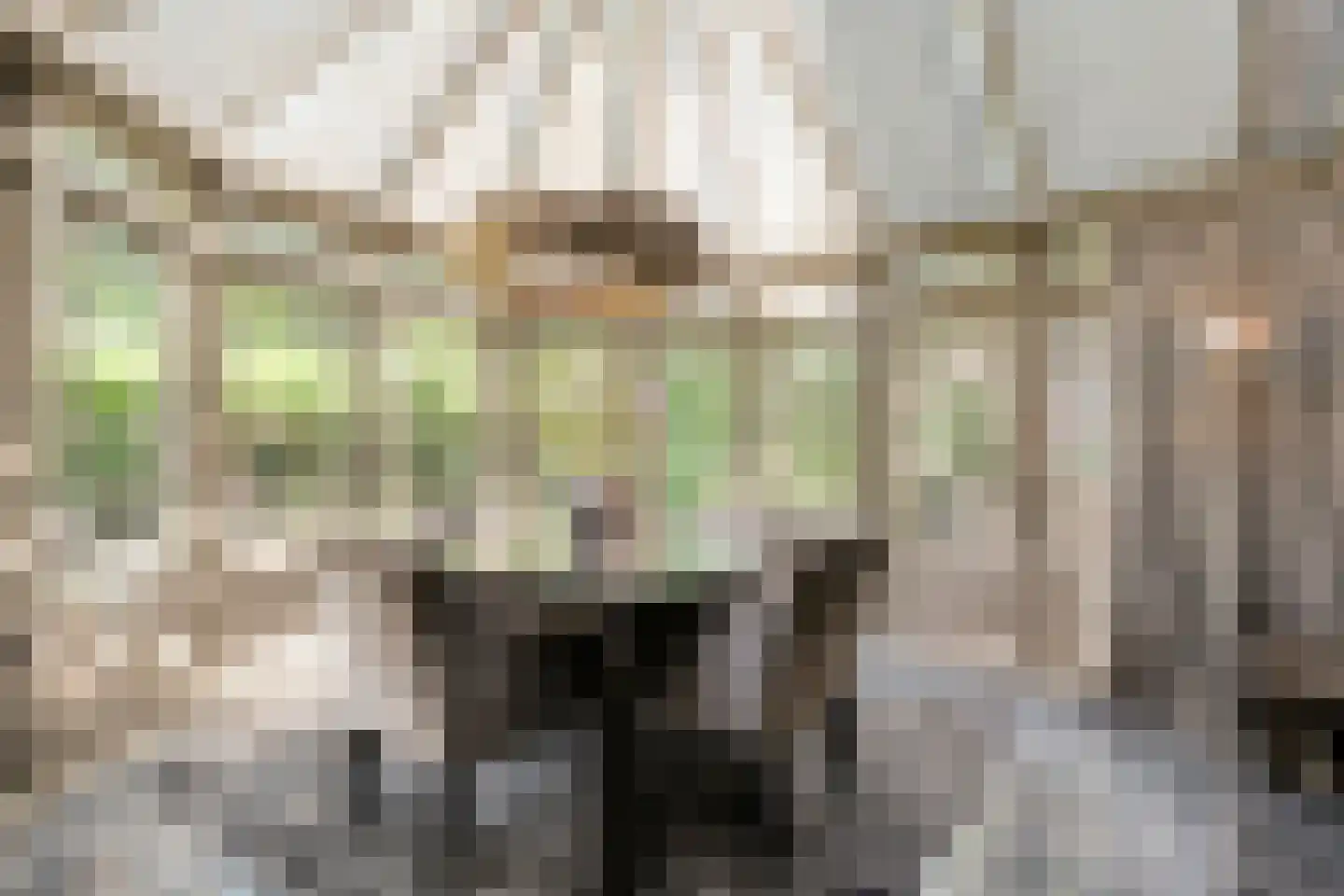 Oldenzaalseweg 11 Tubbergen thumbnail 19