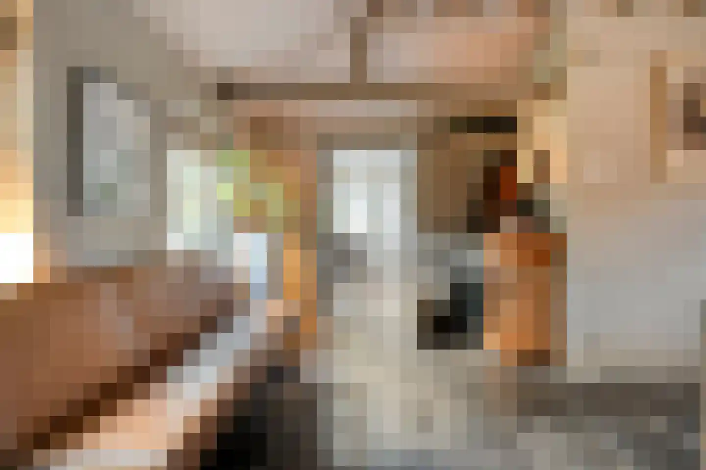 Oldenzaalseweg 11 Tubbergen thumbnail 22