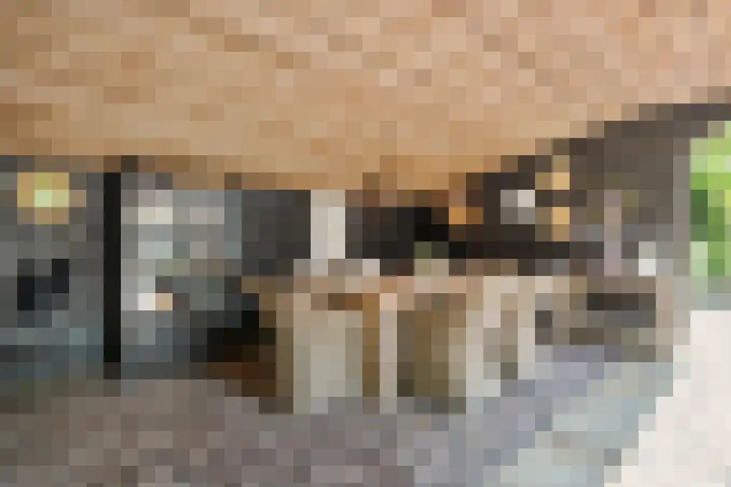 Oldenzaalseweg 11 Tubbergen thumbnail 38