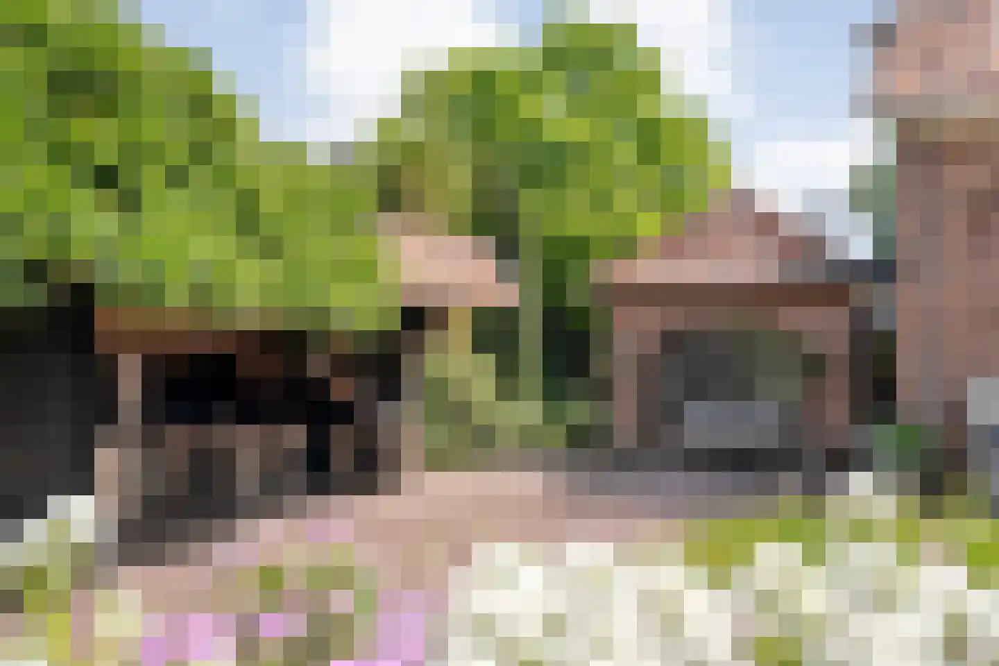 Oldenzaalseweg 11 Tubbergen thumbnail 4