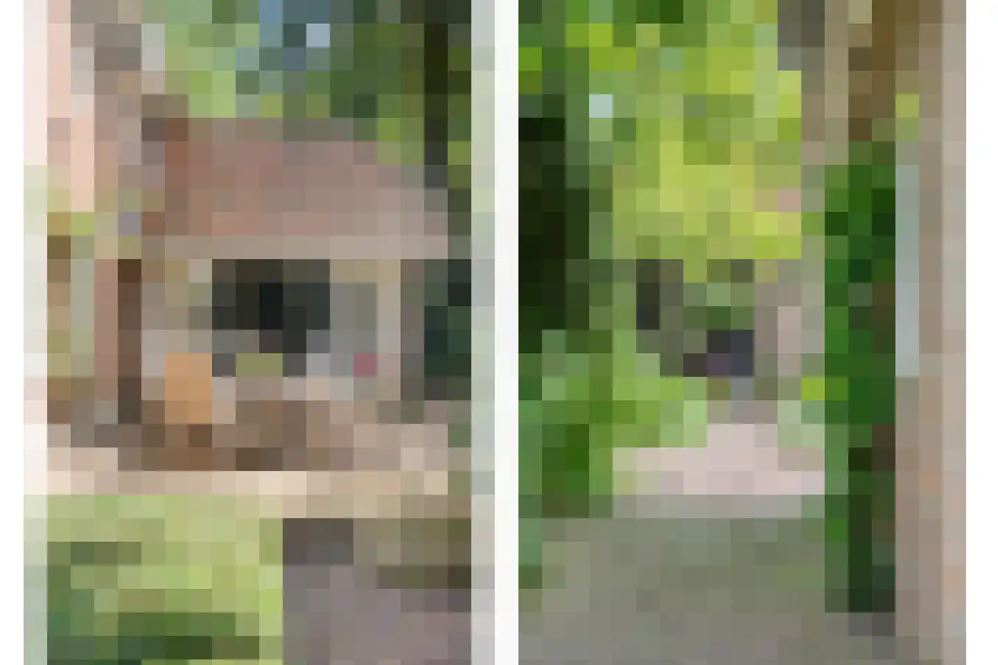 Oldenzaalseweg 11 Tubbergen thumbnail 42