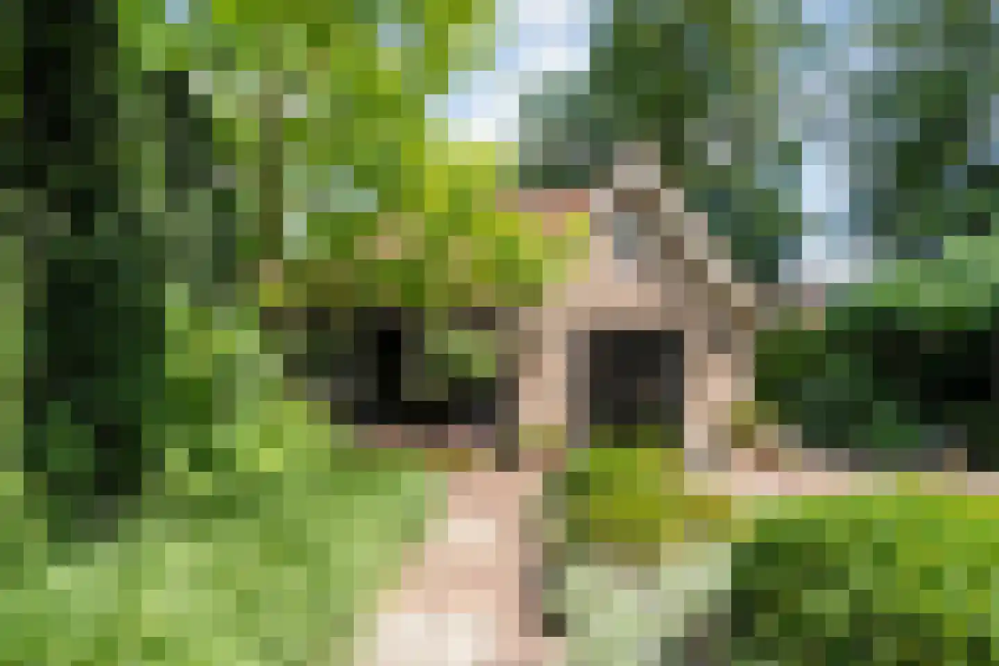 Oldenzaalseweg 11 Tubbergen thumbnail 47