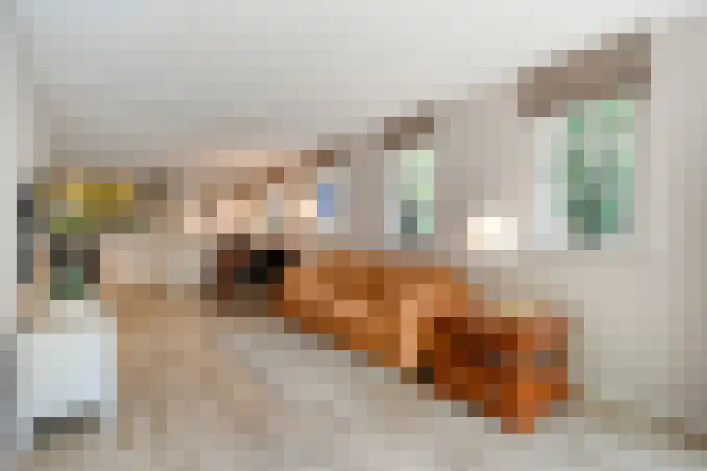 Oldenzaalseweg 11 Tubbergen thumbnail 53