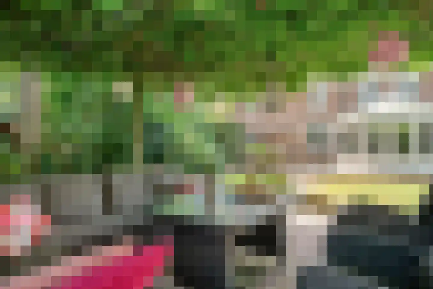 Oldenzaalseweg 11 Tubbergen thumbnail 57
