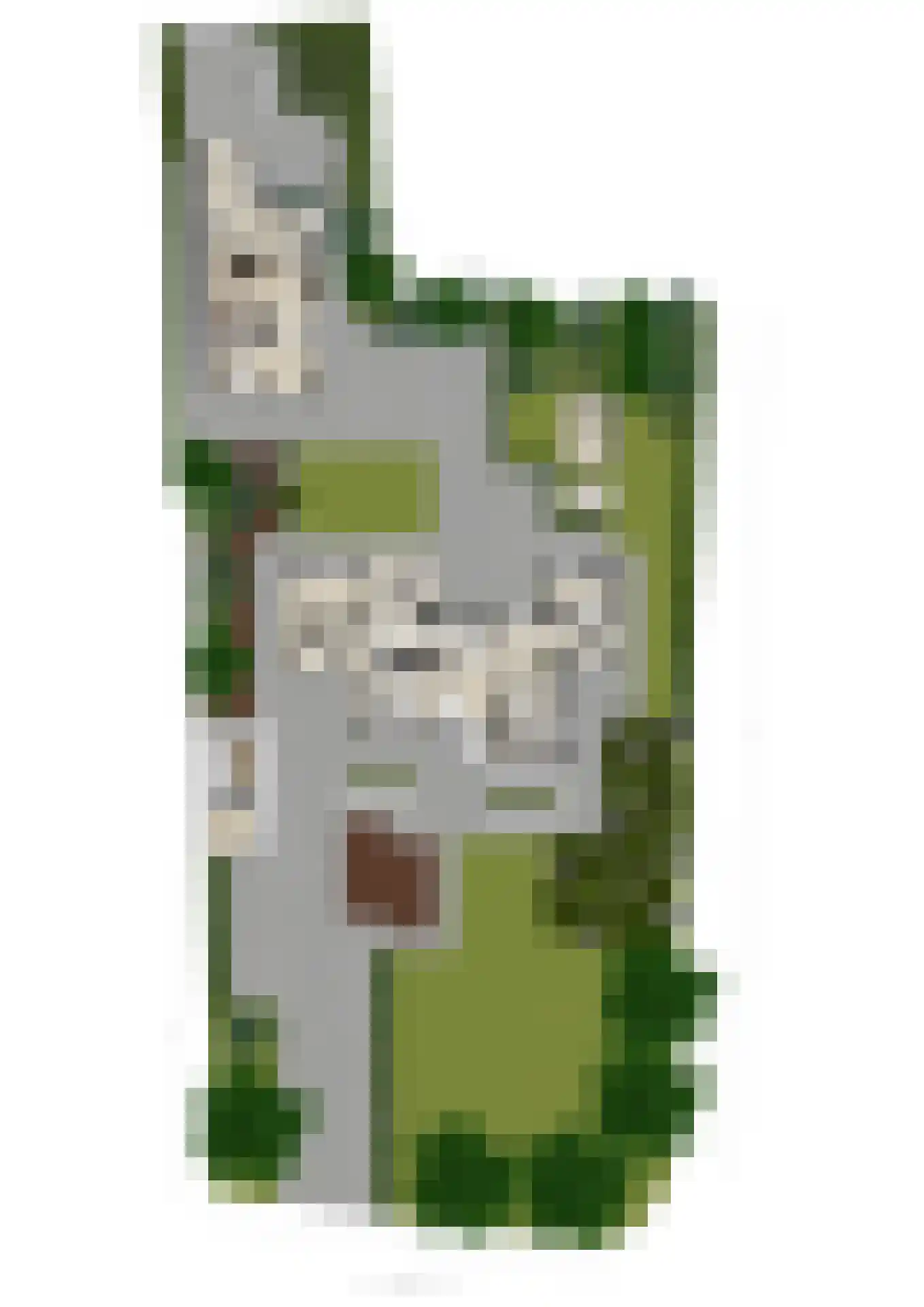 Oldenzaalseweg 11 Tubbergen thumbnail 64