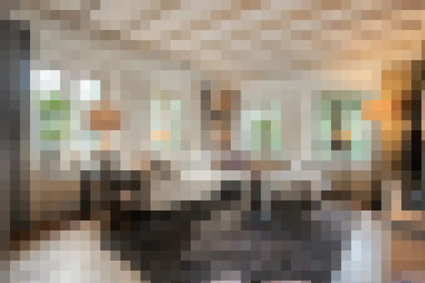 Oldenzaalseweg 11 Tubbergen thumbnail 8