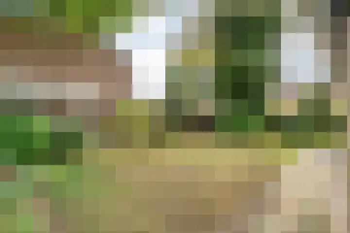 Oldenzaalseweg 13 Tubbergen thumbnail 25