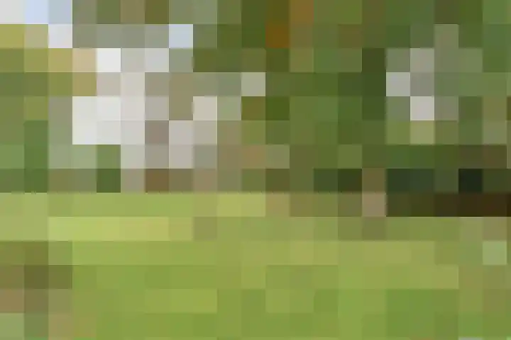 Oldenzaalseweg 13 Tubbergen thumbnail 28