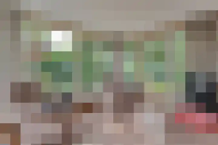 Oldenzaalseweg 13 Tubbergen thumbnail 8