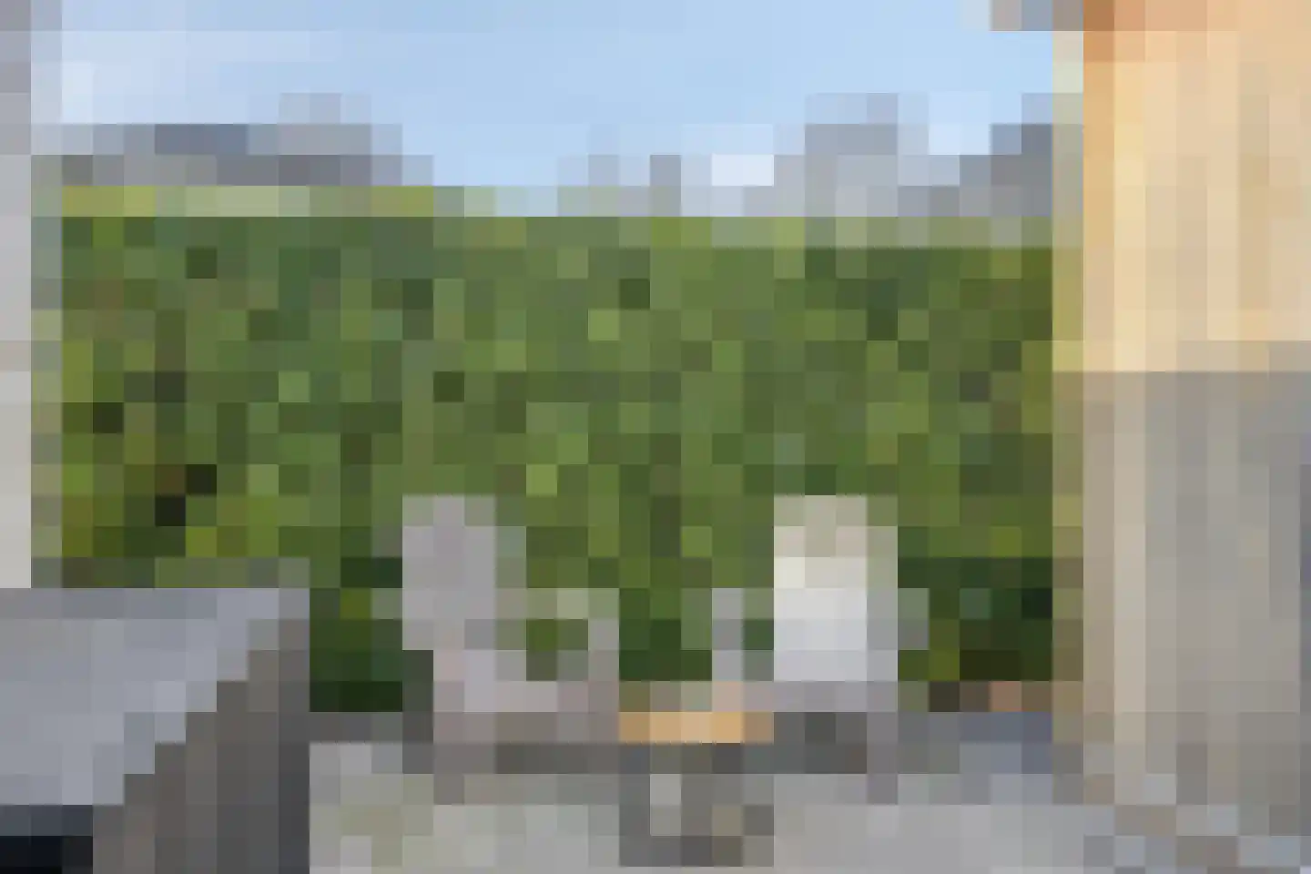 Oldenzaalseweg 171 Reutum thumbnail 27