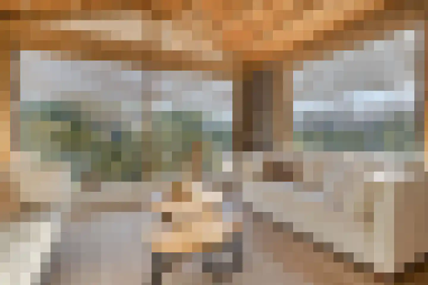Oldenzaalseweg 171 Reutum thumbnail 9