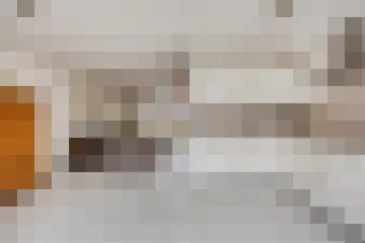 Oldenzaalsingel 11 Tilburg thumbnail 15