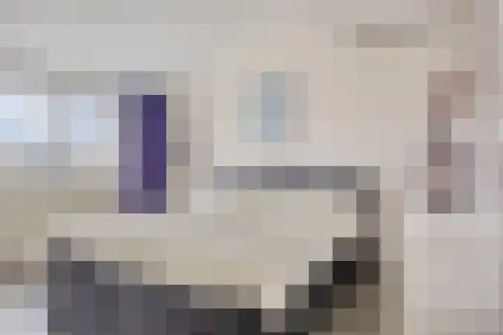 Oldenzaalsingel 11 Tilburg thumbnail 17