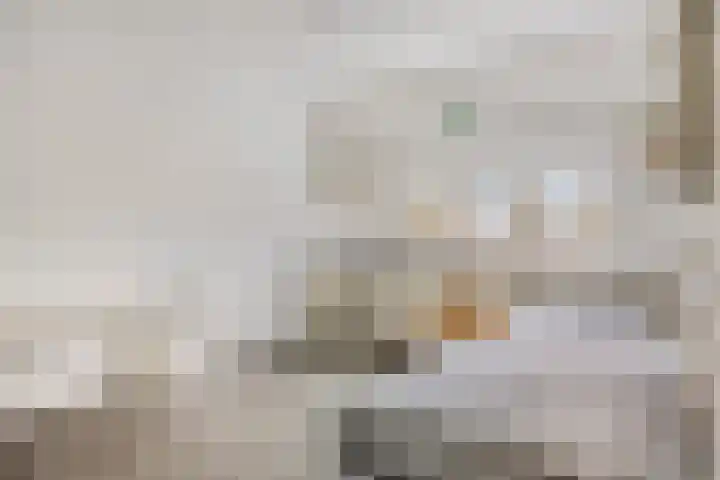 Oldenzaalsingel 11 Tilburg thumbnail 21