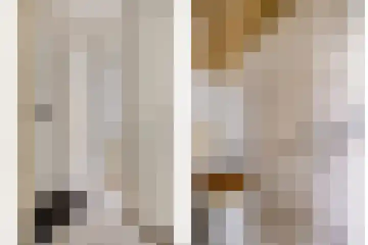 Oldenzaalsingel 11 Tilburg thumbnail 7