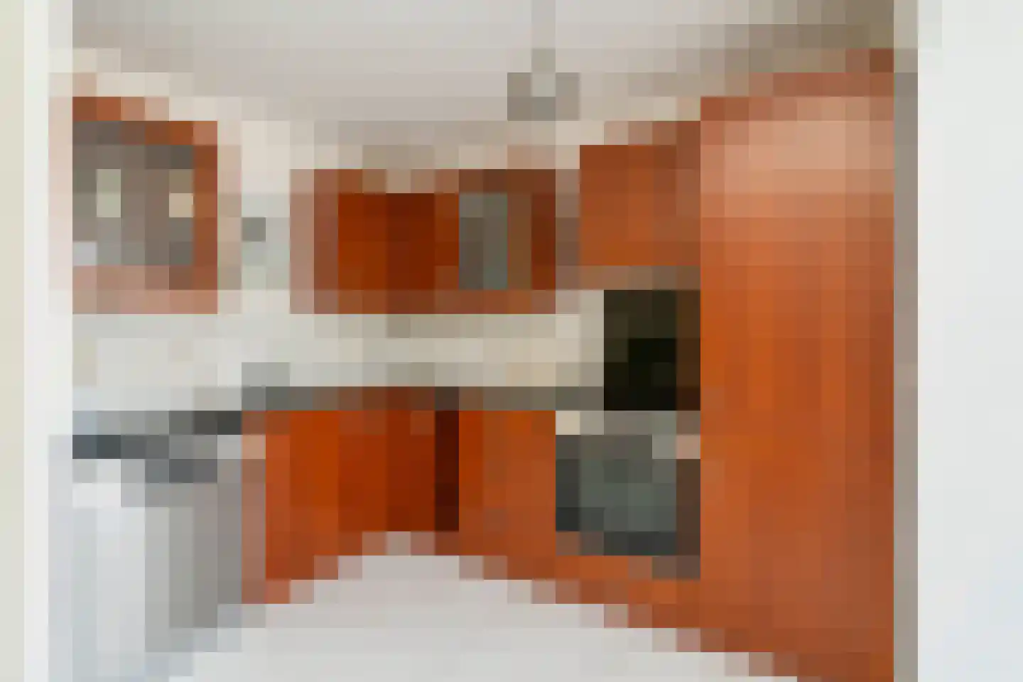 Oldenzaalsingel 15 Tilburg thumbnail 10