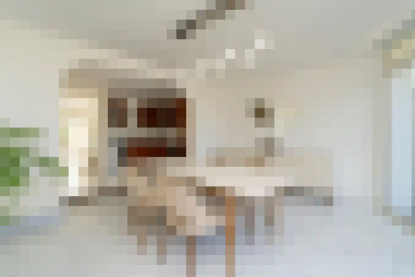 Oldenzaalsingel 15 Tilburg thumbnail 13