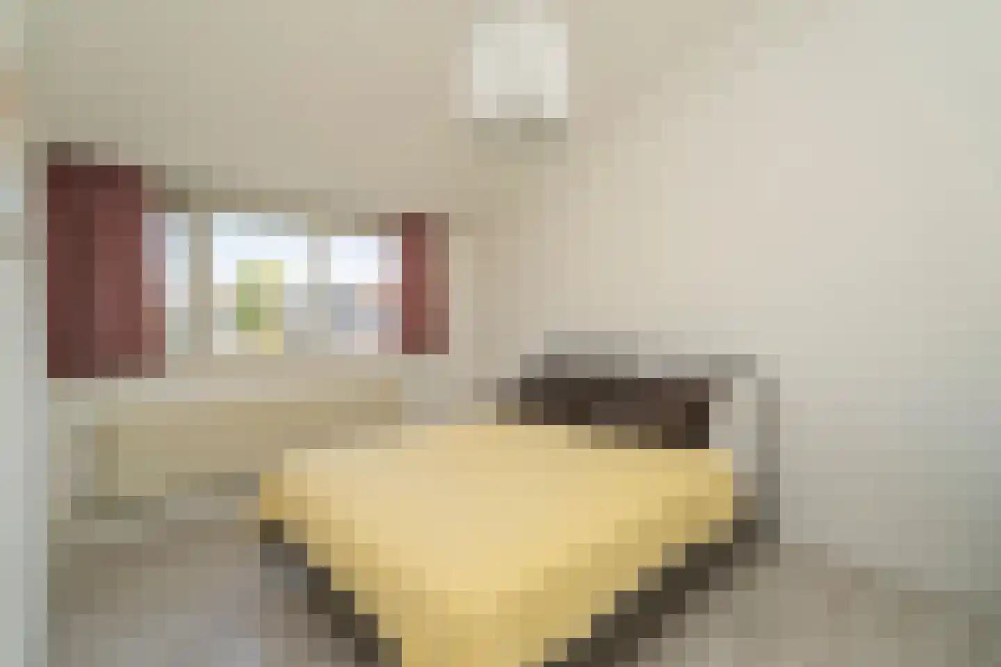 Oldenzaalsingel 15 Tilburg thumbnail 17
