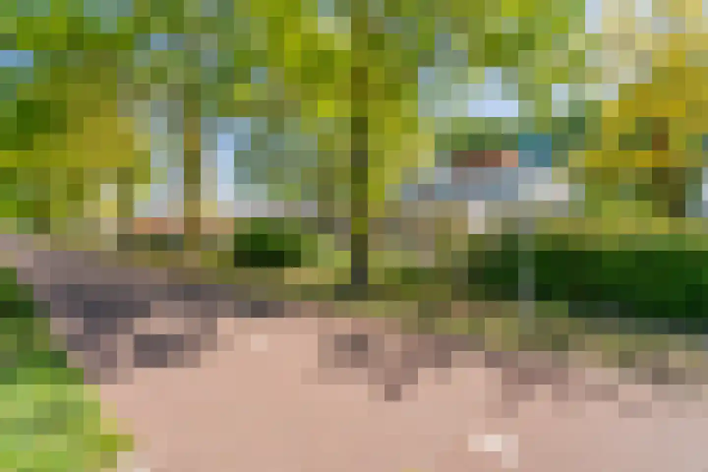 Oldenzaalsingel 15 Tilburg thumbnail 35