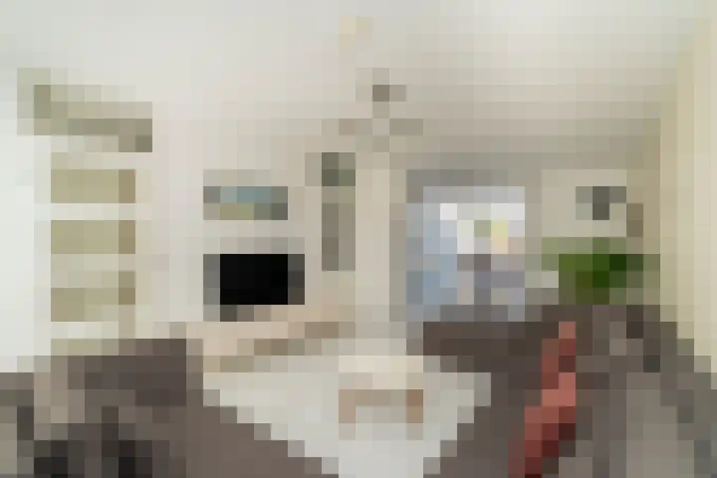 Oldenzaalsingel 15 Tilburg thumbnail 7