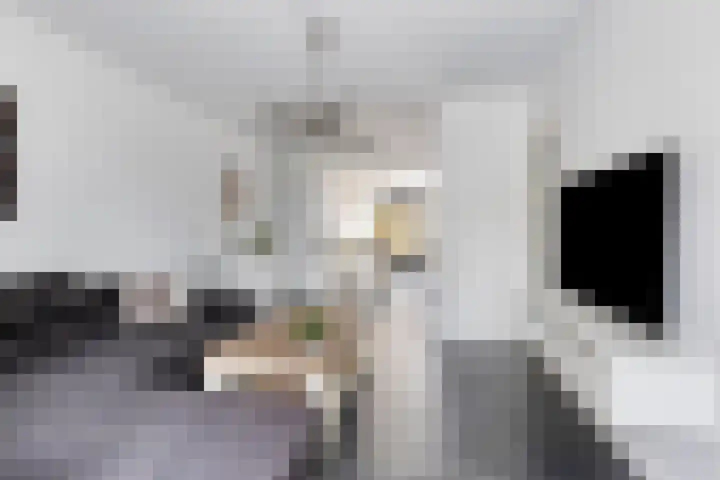 Oldenzaalsingel 35 Tilburg thumbnail 10