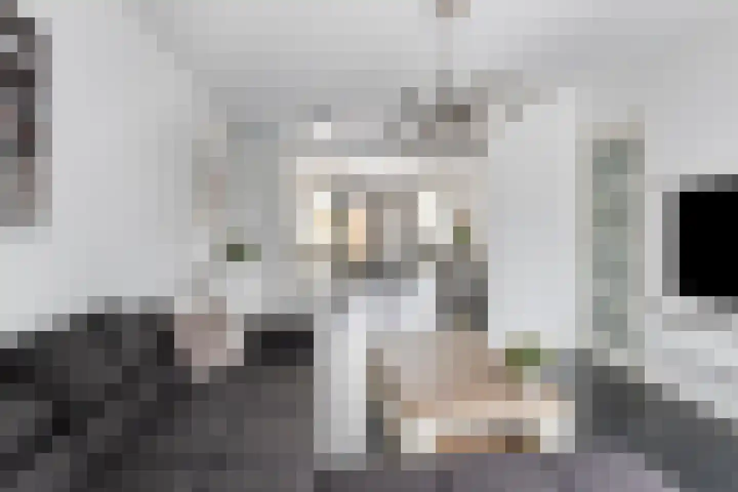 Oldenzaalsingel 35 Tilburg thumbnail 11