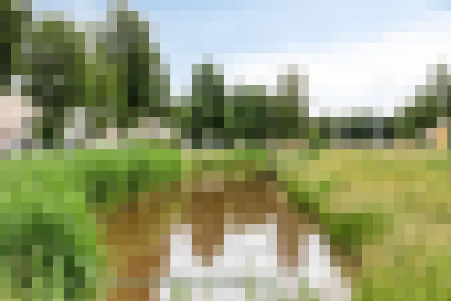 Oldenzaalsingel 35 Tilburg thumbnail 47
