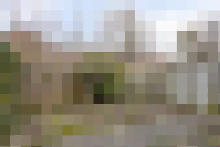Oldenzaalstraat 20 Almere thumbnail 32