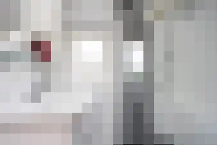 Oldenzaalsvoetpad 2 B Ootmarsum thumbnail 23