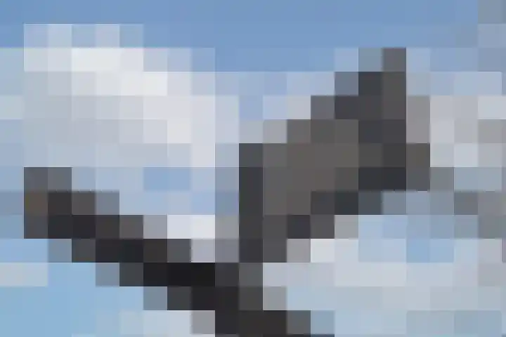 Oldenzaalsvoetpad 2 B Ootmarsum thumbnail 33