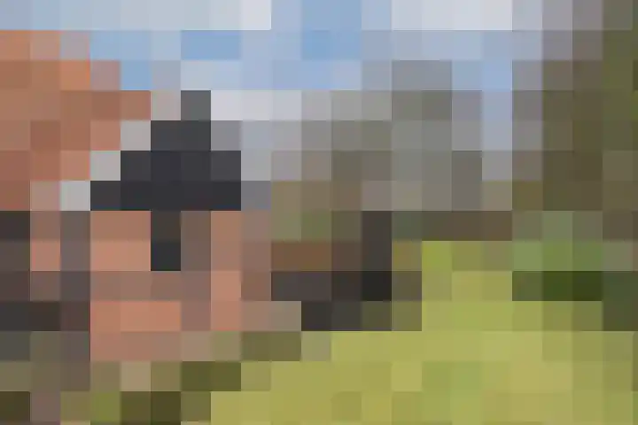 Oldenzaalsvoetpad 2 B Ootmarsum thumbnail 35