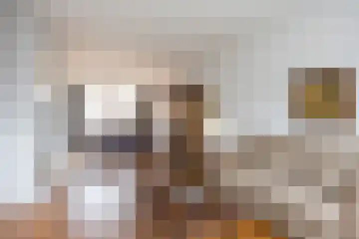 Oldenzaalsvoetpad 2 B Ootmarsum thumbnail 9