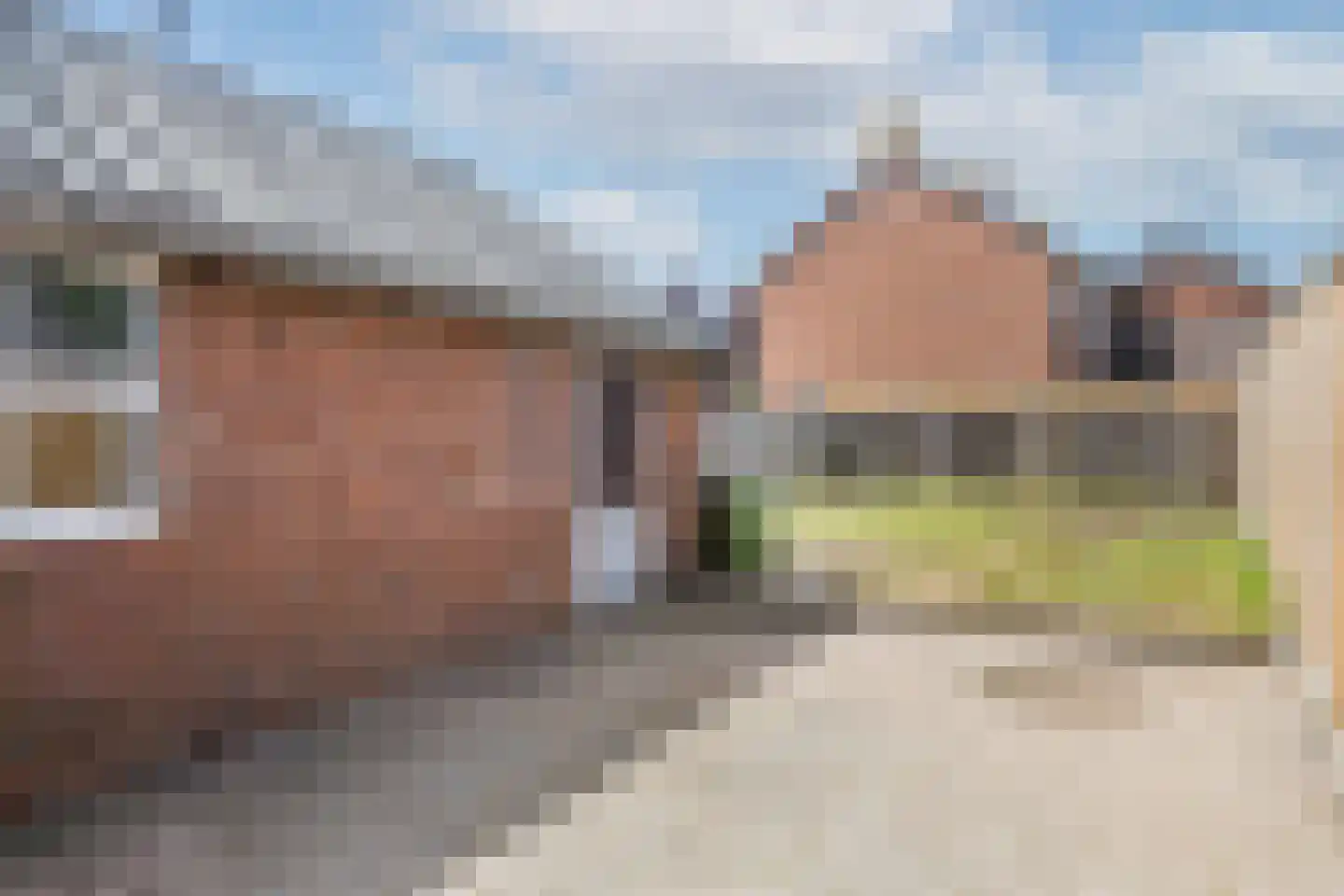 Oldenzaalsvoetpad 26 Ootmarsum thumbnail 21