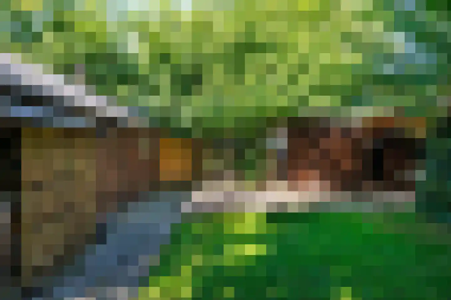 Oldenzijlsterweg 10 Oldenzijl foto 3