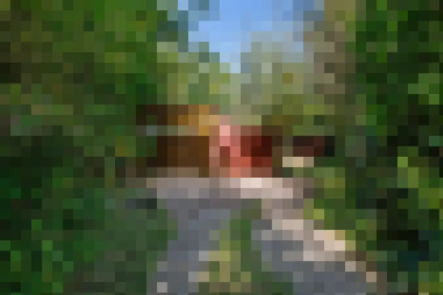 Oldenzijlsterweg 10 Oldenzijl thumbnail 42