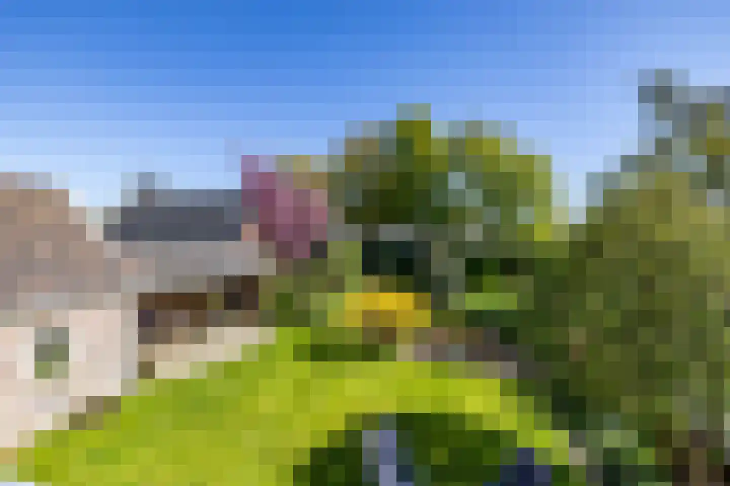 Oldenzijlsterweg 11 Oldenzijl thumbnail 25