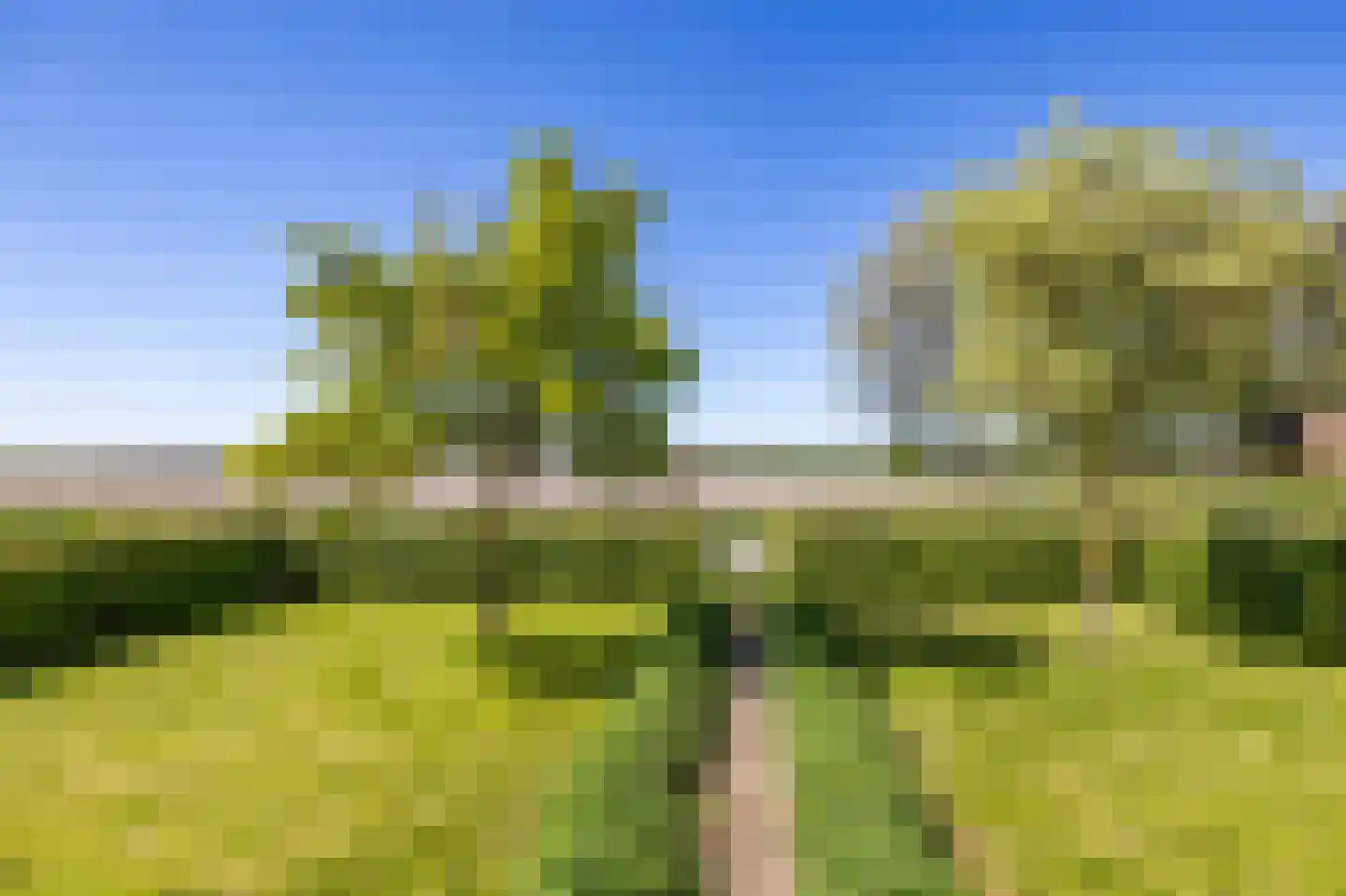 Oldenzijlsterweg 11 Oldenzijl thumbnail 41
