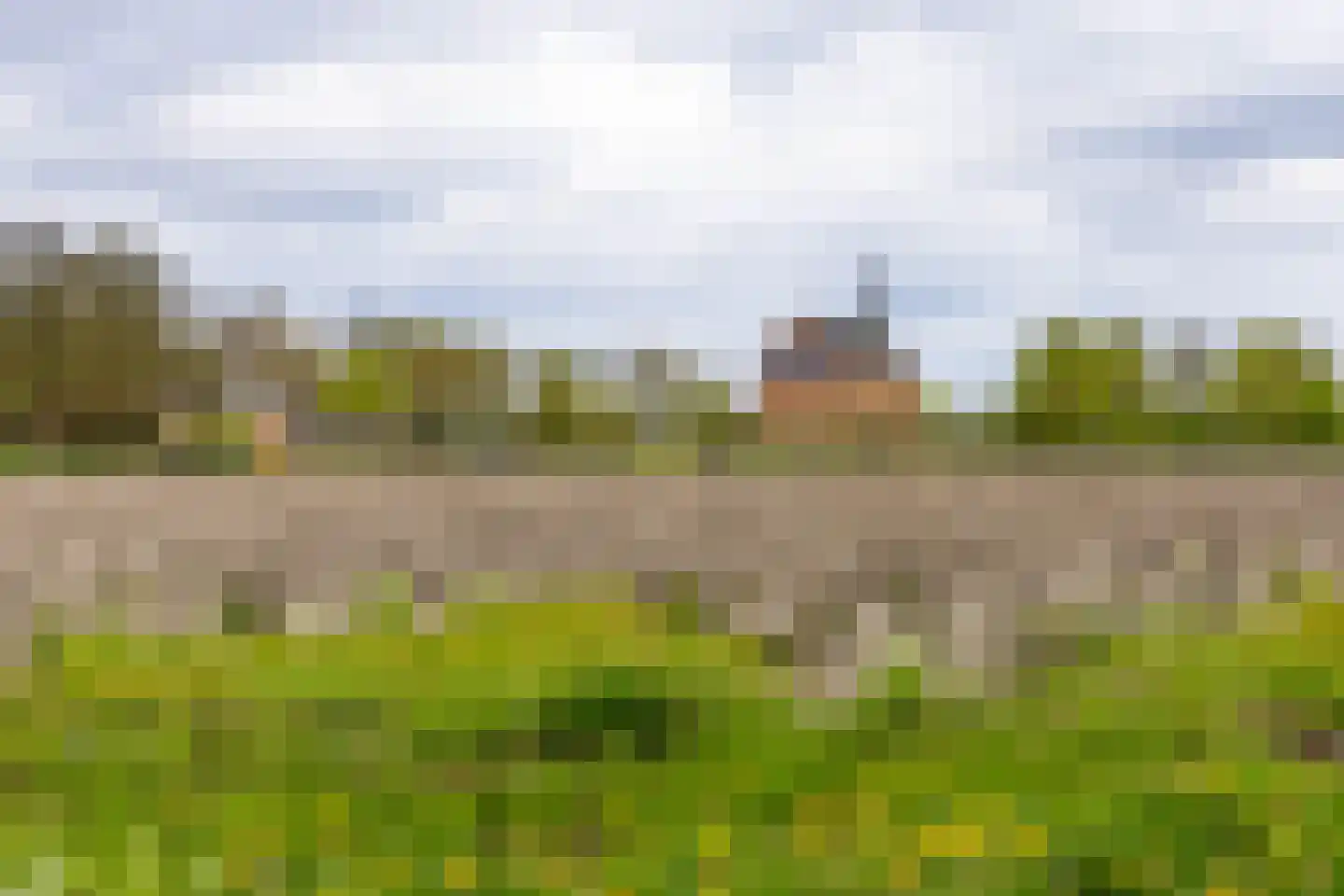 Oldenzijlsterweg 11 Oldenzijl thumbnail 42