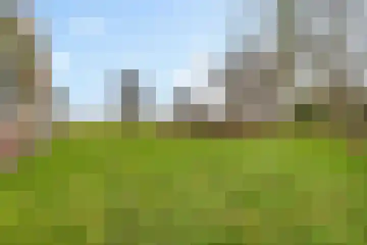 Oldenzijlsterweg 19 Oldenzijl thumbnail 9