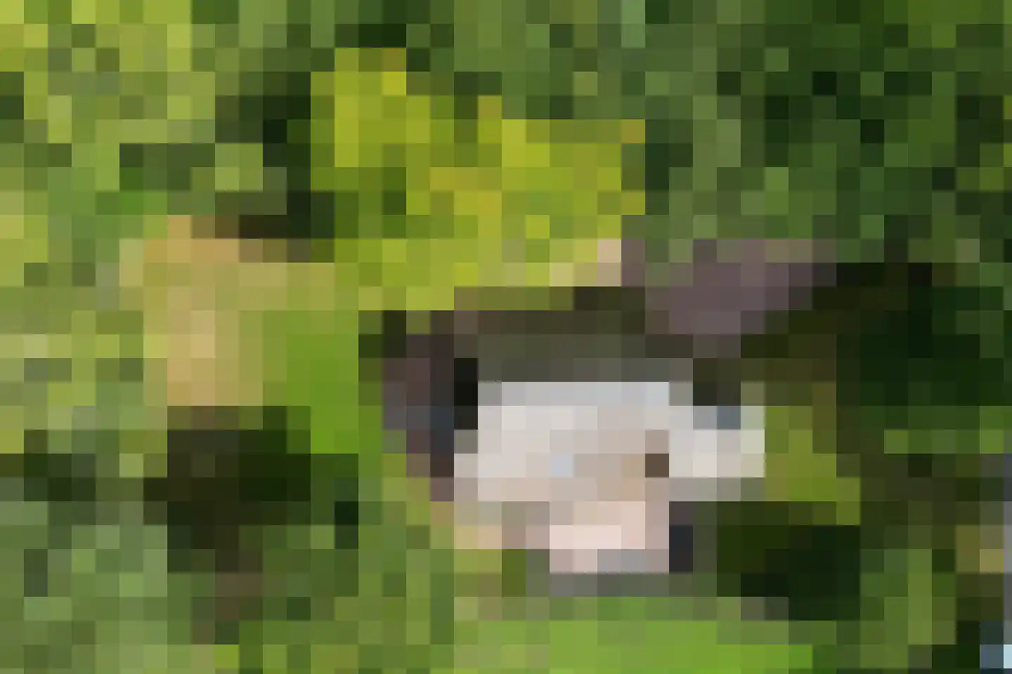 Oldeveen 5 Aalden thumbnail 5