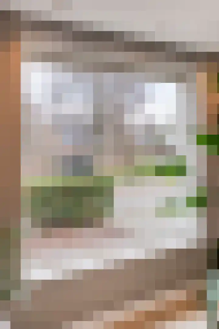 Oldhuisstraat 18 Zwolle thumbnail 12