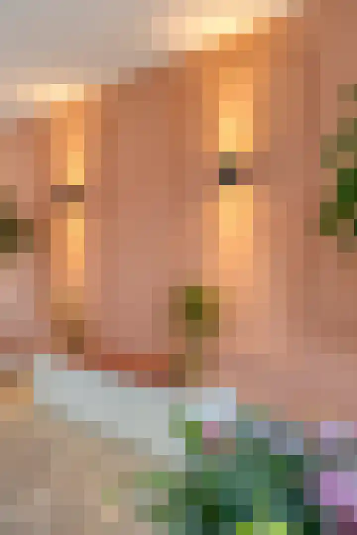 Oldhuisstraat 18 Zwolle thumbnail 14