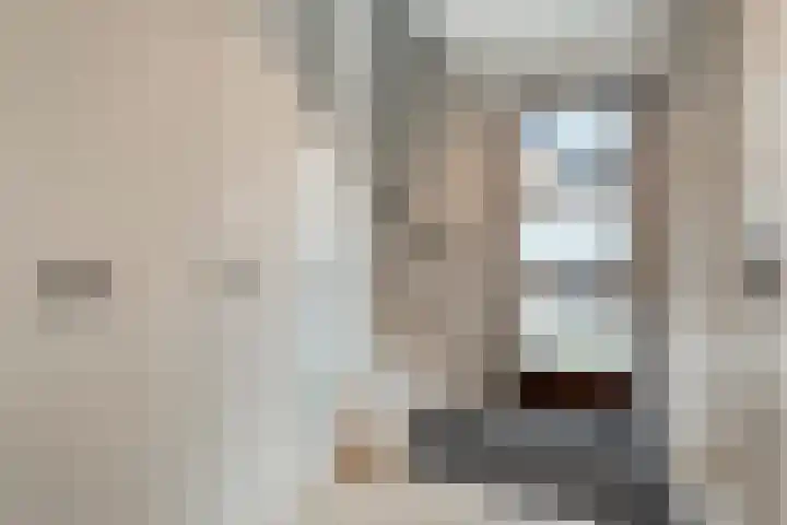 Oldhuisstraat 18 Zwolle thumbnail 26