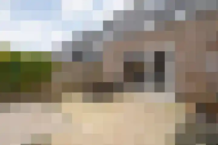 Oldhuisstraat 18 Zwolle thumbnail 51