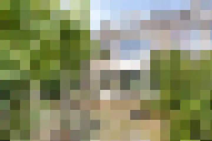 Oldorphof 2 Arnhem thumbnail 14