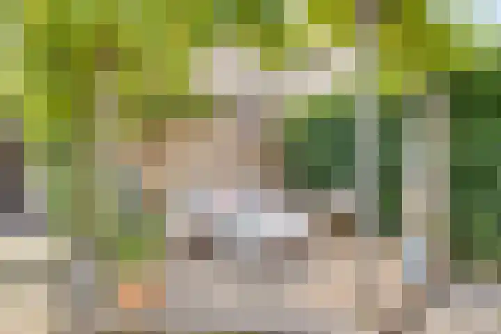 Oldorphof 2 Arnhem thumbnail 15