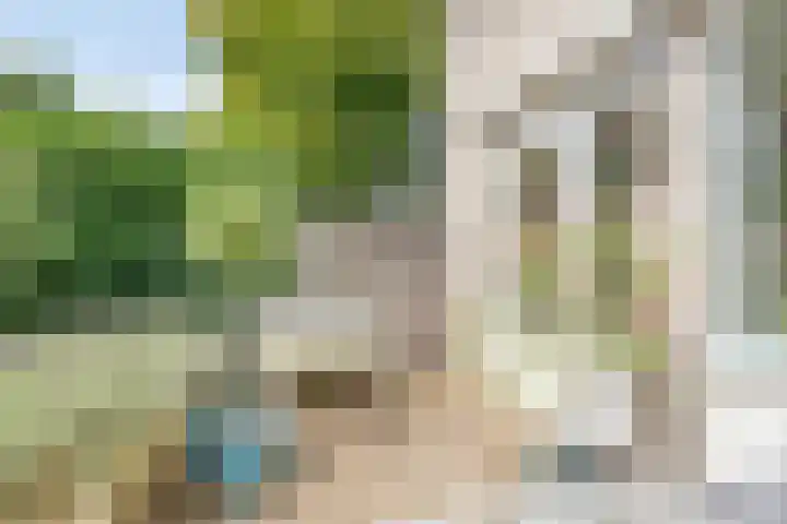 Oldorphof 2 Arnhem thumbnail 17