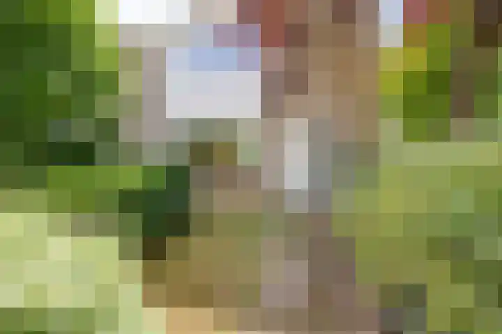 Oldorphof 2 Arnhem thumbnail 42